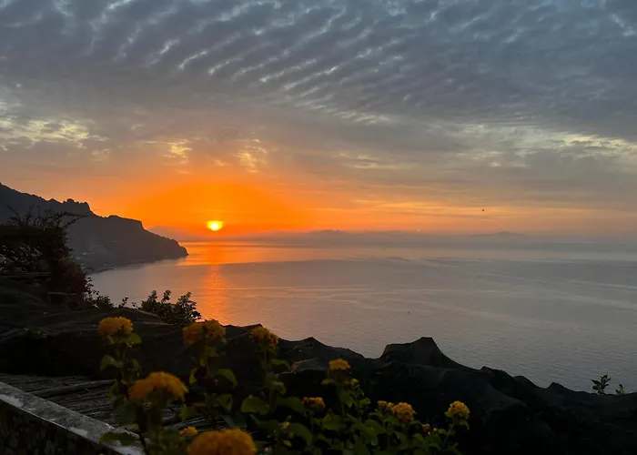 Hotel adatto agli animali: b&b I Limoni